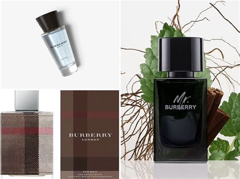 best burberry colognes|which burberry scents smells best.